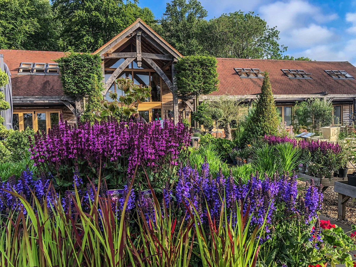 Farm Shop and Cafe Leckford Estate Hampshire